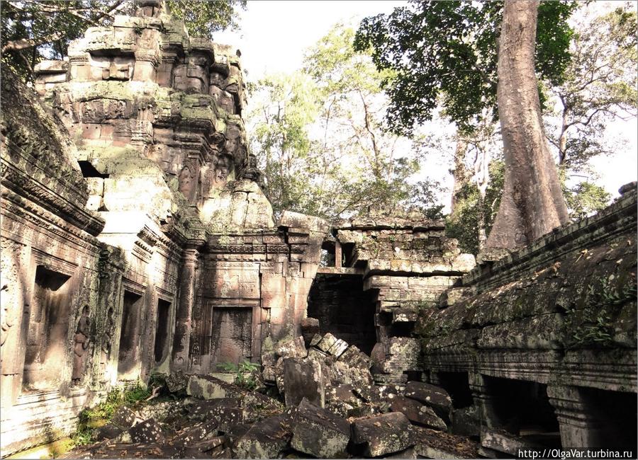 Нагромождение каменных блоков,  раздавленные стволами баньяна; крыши, просевшие под тяжестью его огромных корней; — так выглядит Та Пром сегодня, словно из фильма «После нас», и о его былом величии, каким он, вероятно, когда-то был, уже ничего не напоминает. Провинция Сиемреап, Камбоджа