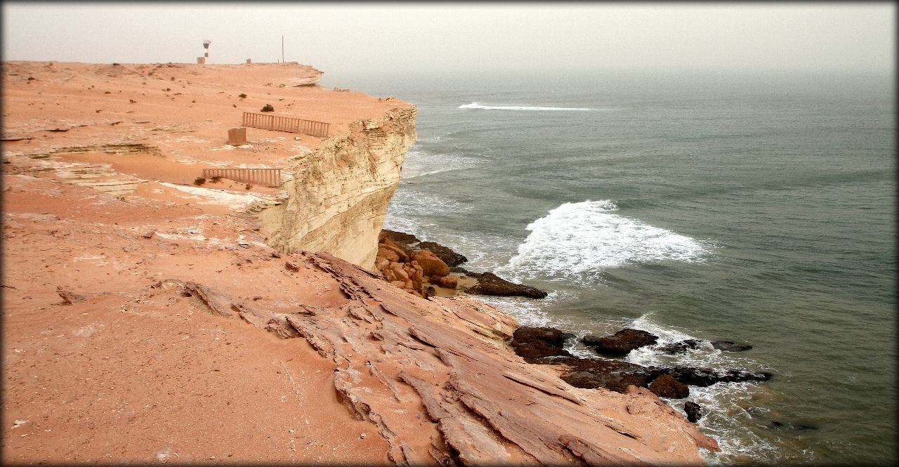 Вымирающий монах полуострова Рас-Нуадибу Кап-Бланк полуостров, Мавритания