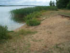 У озера. Пейзаж очень напоминает прибалтийский берег — мелкий желтый песочек и сосны..