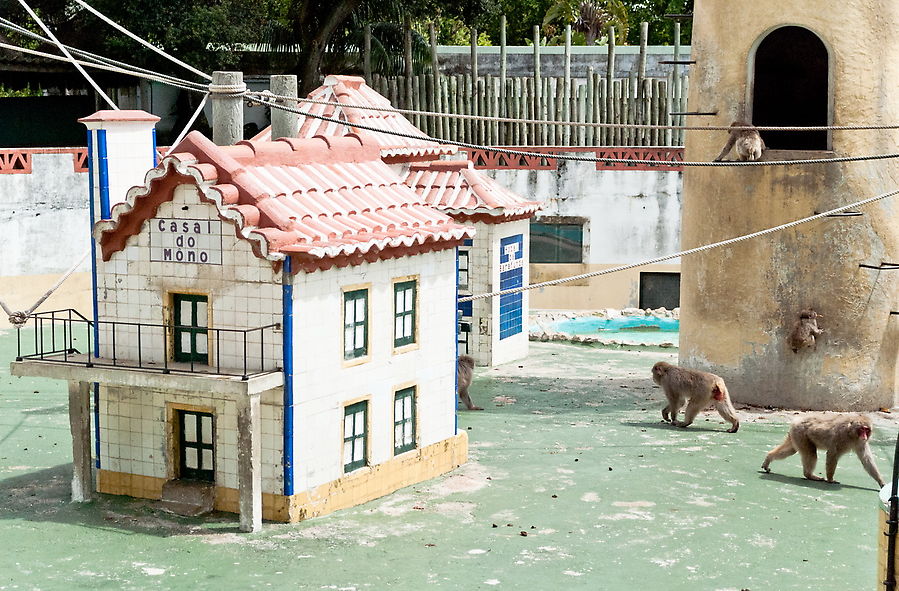 Лиссабонский зоопарк Лиссабон, Португалия