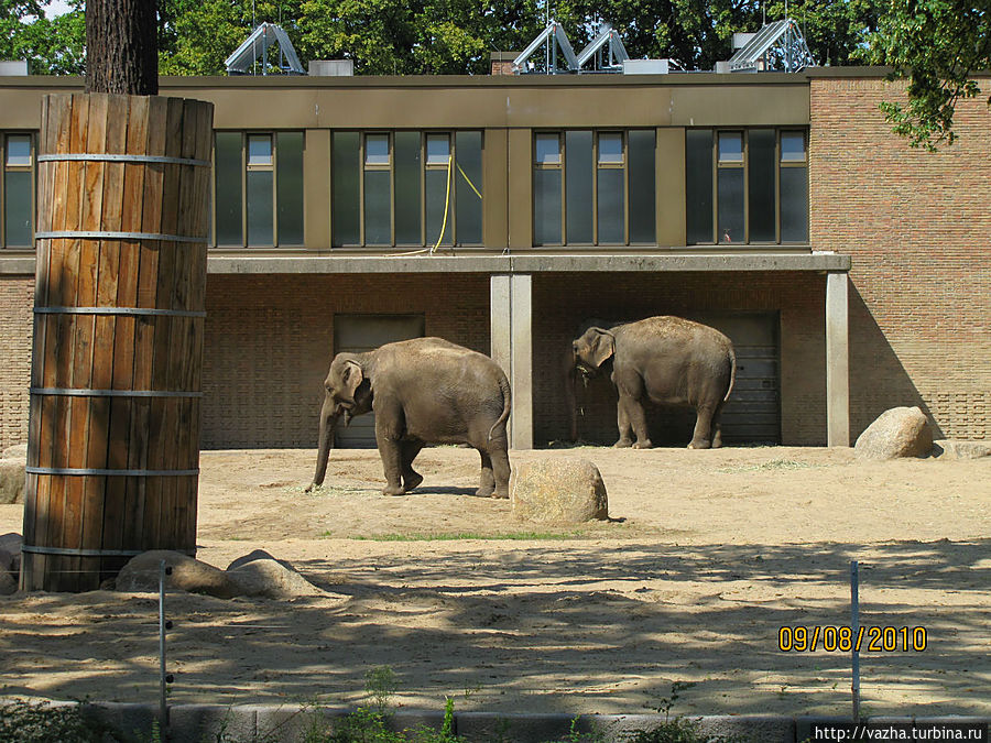 Прогулка по зоопарку Берлина. Берлин, Германия