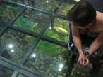 В центре жемчуга стеклянный пол, сквозь который можно посмотреть на плавающих рыбок