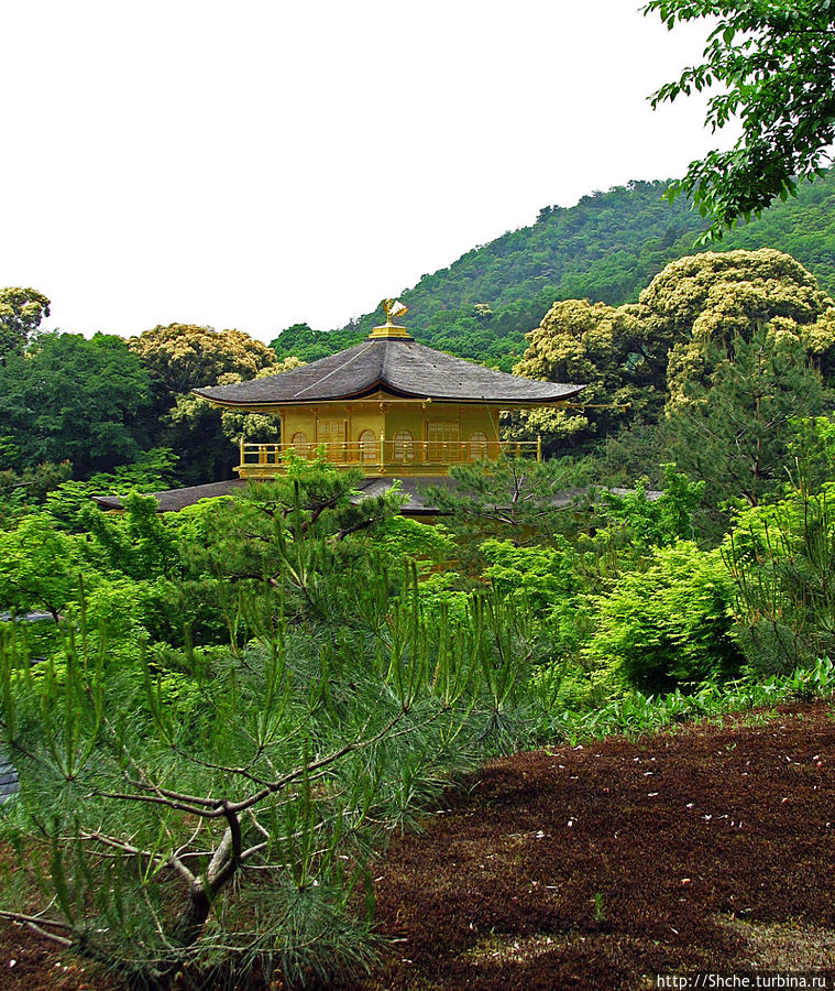 Вот уже поднялись на уровень третьего этажа павильона Вот уже поднялись на уровень третьего этажа павильона