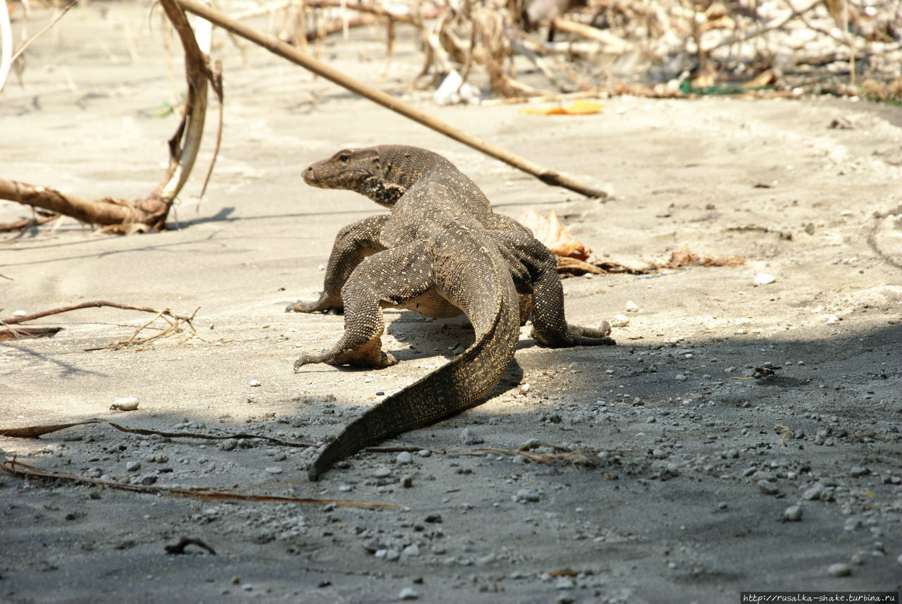 Кракатау. В гости в преисподнюю Кракатоа, Индонезия
