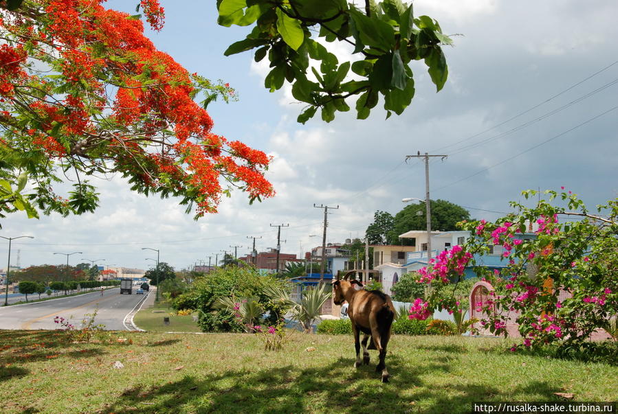 Дорога к апокалептическому закату Санта-Клара, Куба