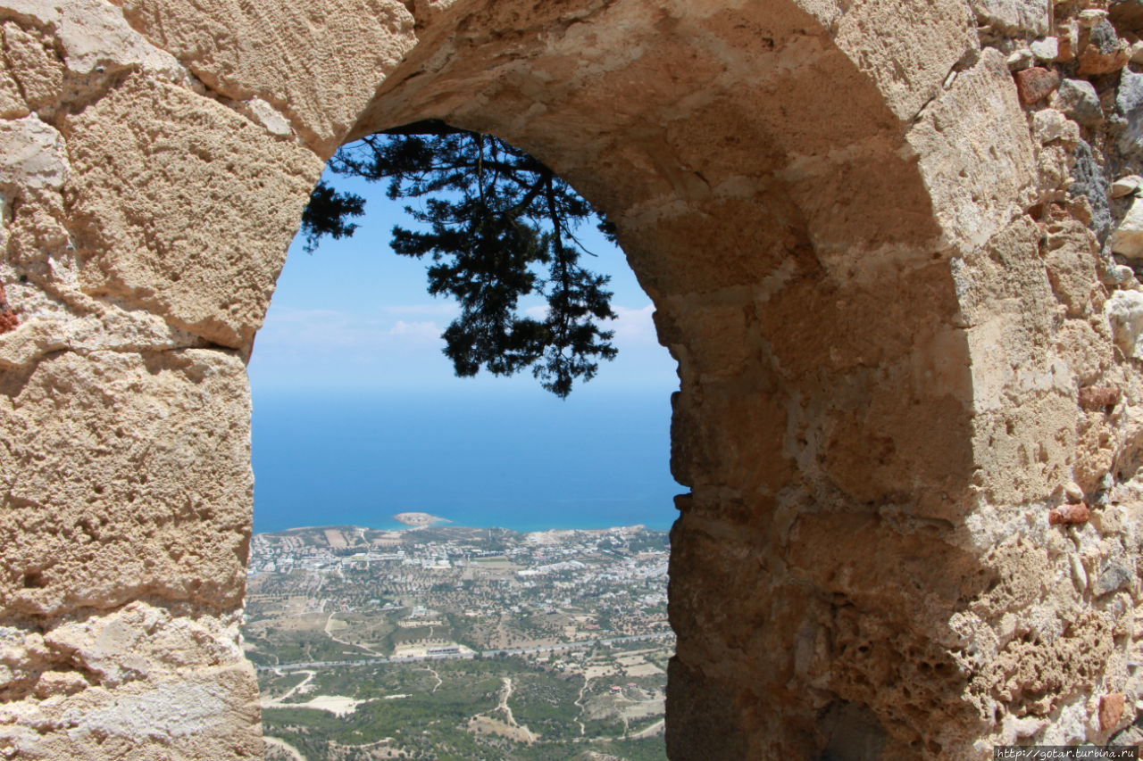 Как объять необъятный Кипр. Пафосное начало Кипр
