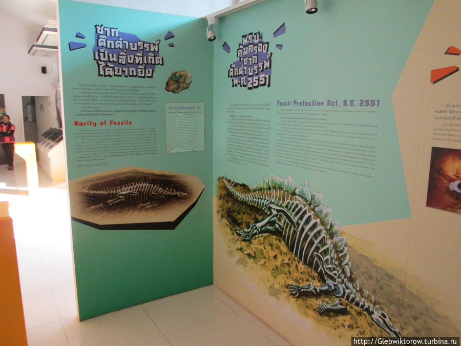 Музей динозавров Нонг-Буа-Лам-Пху, Таиланд