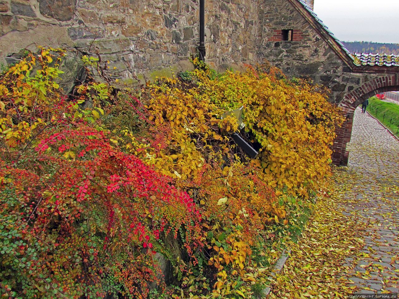 Крепость и замок Акерхус Осло, Норвегия Крепость и замок Акерхус Осло, Норвегия