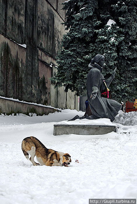Три часа из жизни обитателей Дрогобыча Дрогобыч, Украина