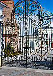 ворота ведущие к Губернаторскому дворцу