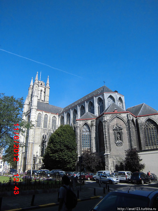 Собор Святого Бавона Собор Святого Бавона