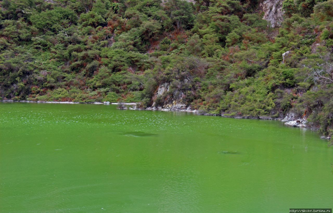 Озеро Нгакоро Уаиотапу, Новая Зеландия