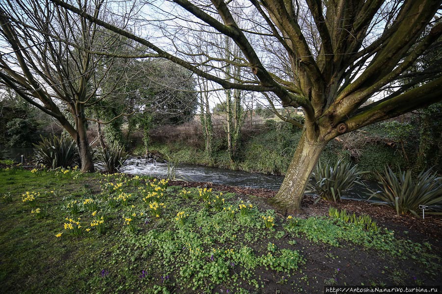 Дублинский Ботанический Сад Дублин, Ирландия