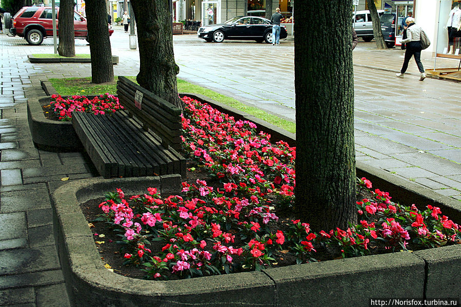 Unter den Linden по литовски Каунас, Литва