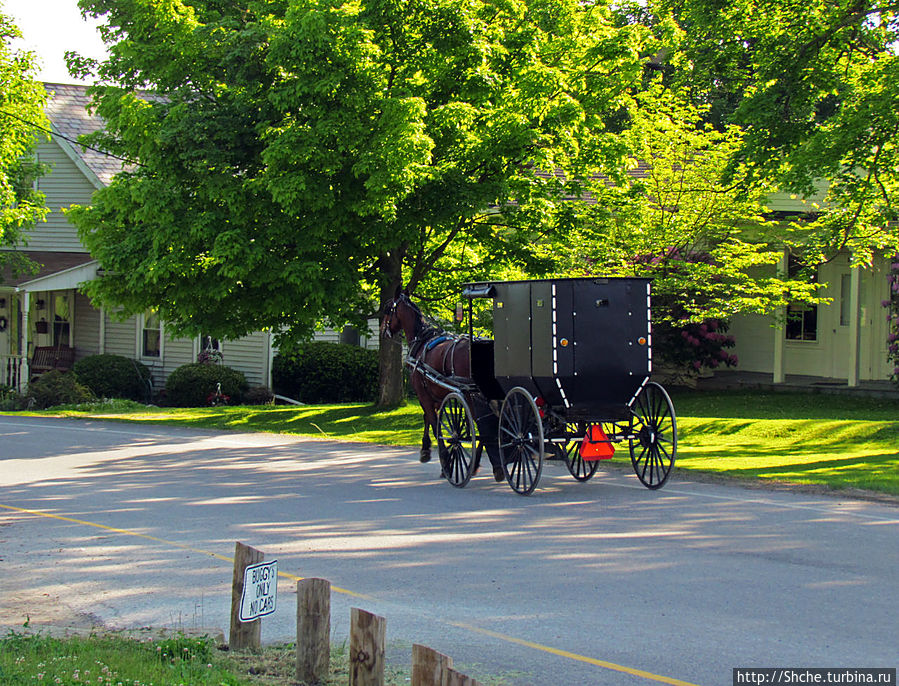 этот уже закончил свои дела в столице этот уже закончил свои дела в столице
