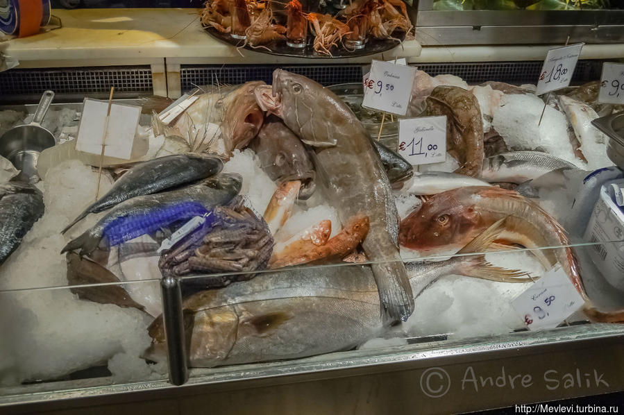 Cestello, Florence — Restaurant Флоренция, Италия