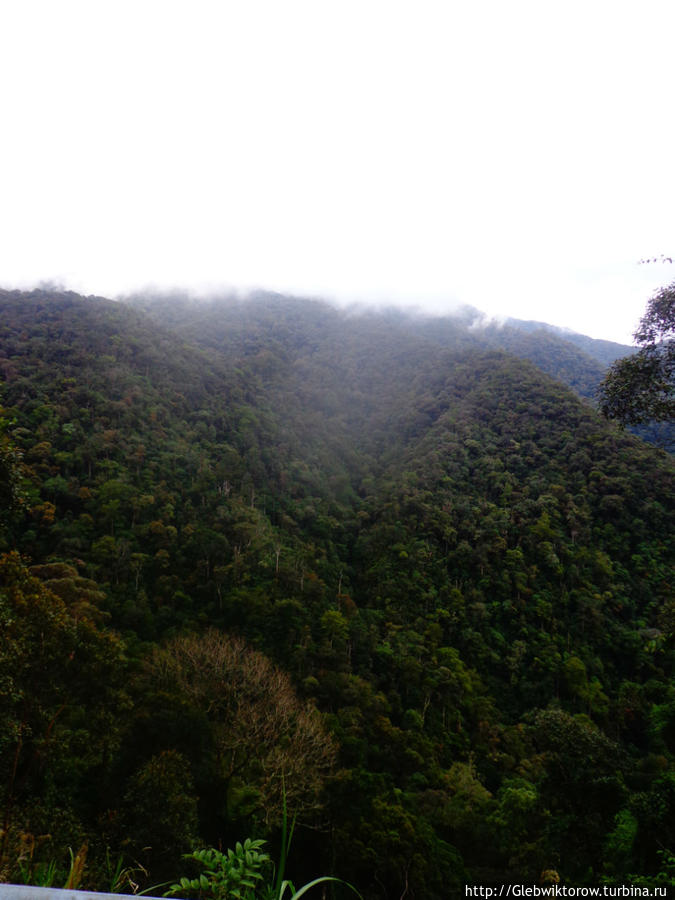Подъем на гору Кинабалу ч.1 Гора Кинабалу Национальный Парк (4095м), Малайзия