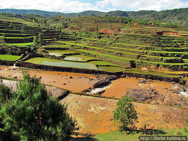 Короткая остановка с чудо-видом на рисовые террасы Антанифутси, Мадагаскар