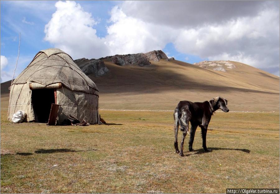 Современная юрта кочевника Озеро Сон-Куль, Киргизия