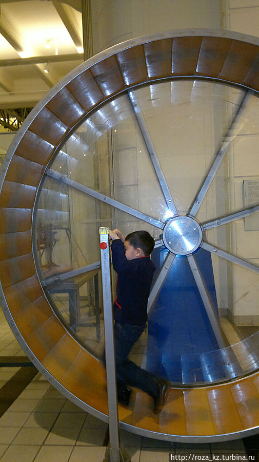 белка в колесе (точнее внук), вырабатывает энергию для подъема ящика с яблоками к потолку белка в колесе (точнее внук), вырабатывает энергию для подъема ящика с яблоками к потолку