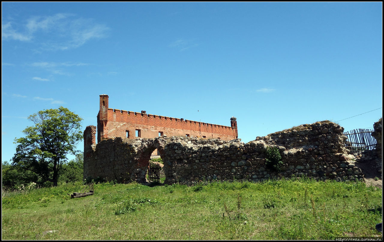 Шаакен — живописные руины орденского замка Калининградская область, Россия