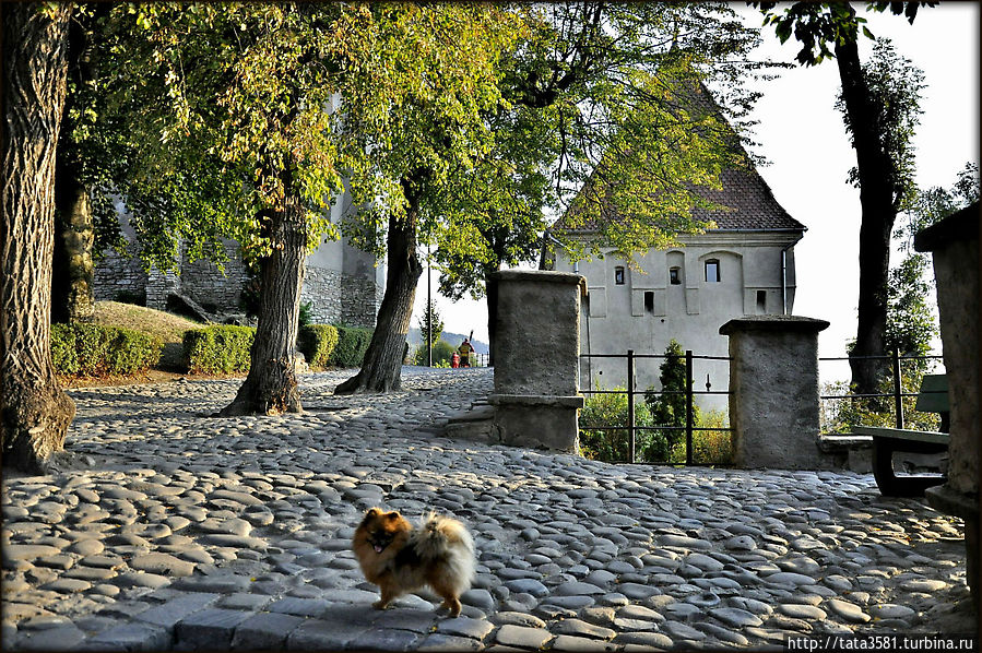 Сигишоара — памятник ЮНЕСКО, и настоящая родина Дракулы Сигишоара, Румыния