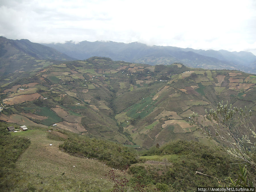 Окрестность. Окрестность.