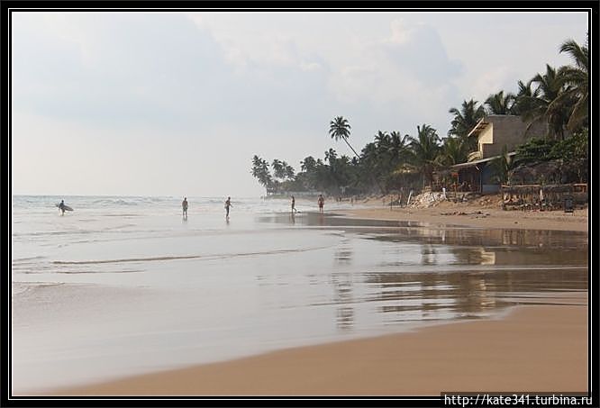 Внеплановое посещение родины чая и улыбок. Хиккадува-пляж Хиккадува, Шри-Ланка Внеплановое посещение родины чая и улыбок. Хиккадува-пляж Хиккадува, Шри-Ланка