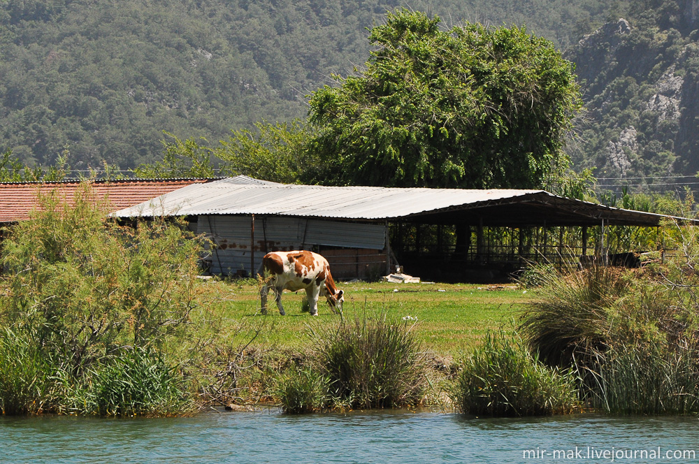 Вокруг жизнь неспешно идет своим чередом. Дальян, Турция Вокруг жизнь неспешно идет своим чередом. Дальян, Турция