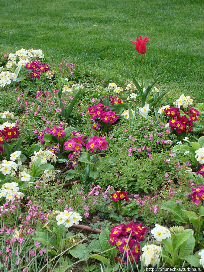 Париж: изумрудно-цветочный микс Париж, Франция Париж: изумрудно-цветочный микс Париж, Франция