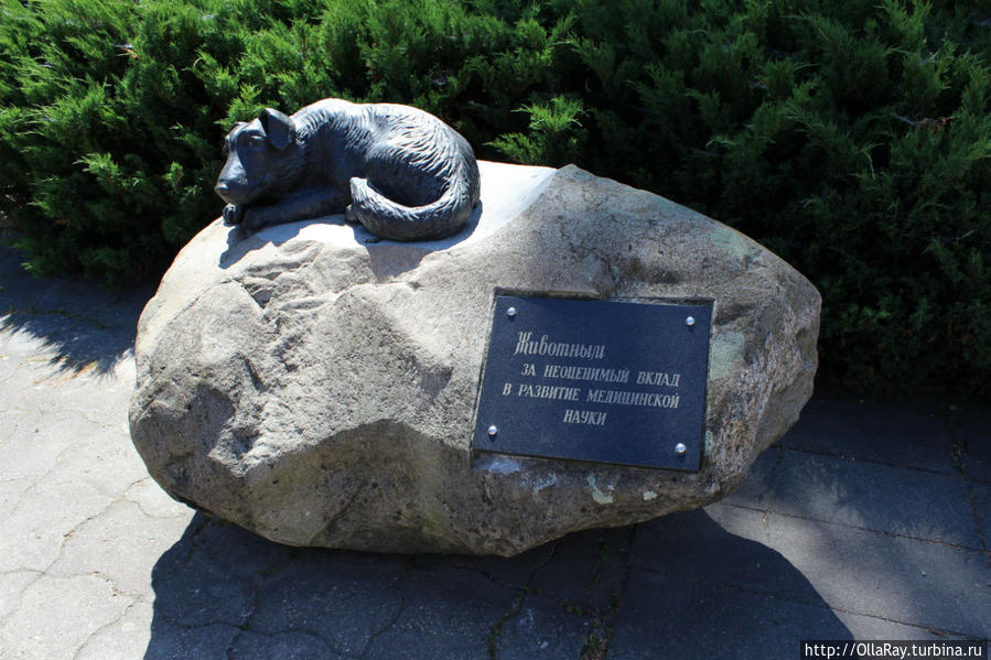 Памятник лабораторным животным Гродно, Беларусь