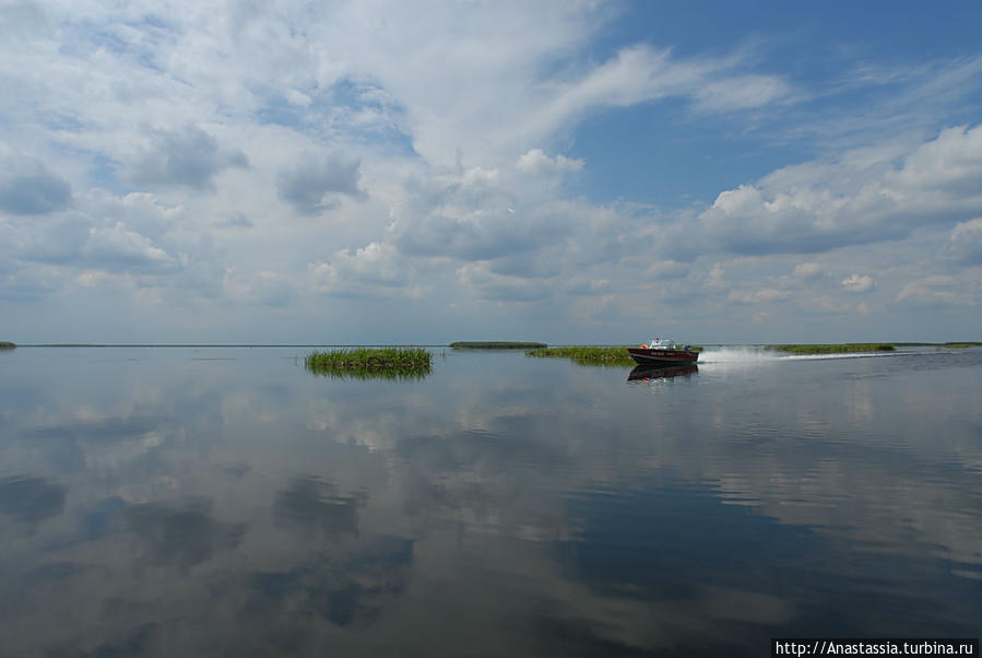 Зеленга, заповедные места Астраханский Биосферный Заповедник в дельте Волги, Россия