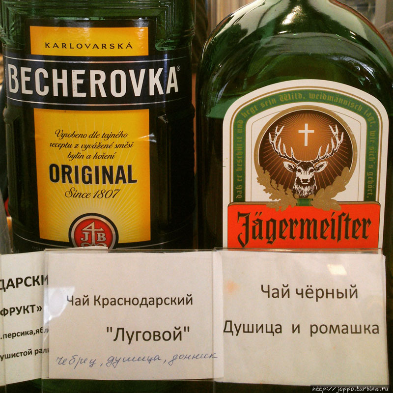 Как весело отдохнуть в Красной Поляне и не разориться Красная Поляна, Россия