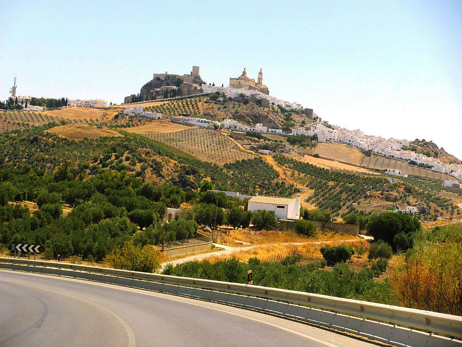 Приближаемся к Ольвере! Приближаемся к Ольвере!