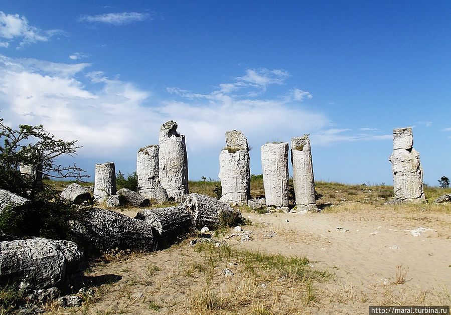 «Дикилиташ» — назвали турки каменные  образования в форме колонн Варненская область, Болгария