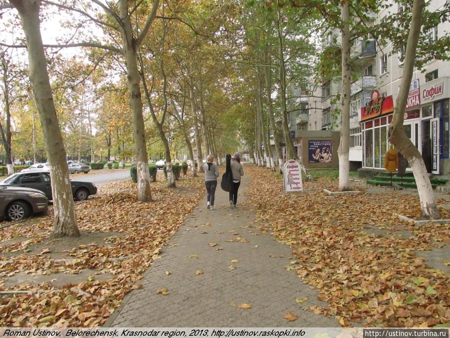 Золотая осень в Белореченске Белореченск, Россия