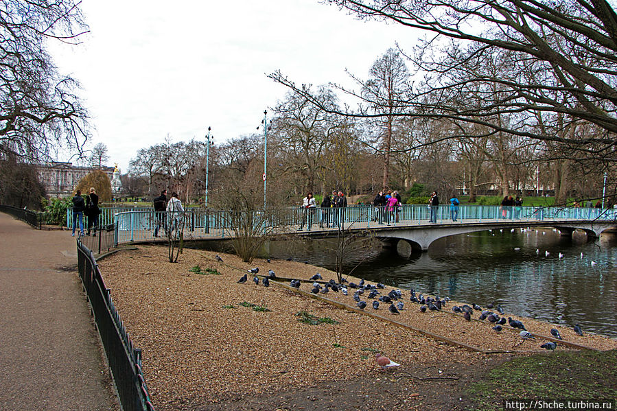 Весеннее пробуждение Сент-Джеймс парка в Лондоне Лондон, Великобритания