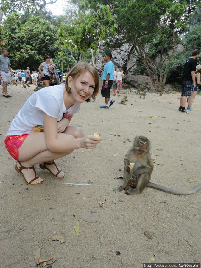 Где святые буддистские места, там непременно встречаются ОНИ, обезьянки!)) Таиланд