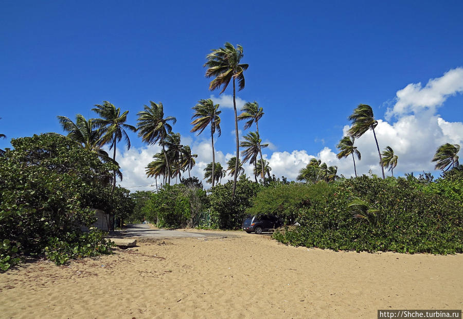 Искали пляж — попали в заповедник Боске Эстаталь де Агирре заповедник, Пуэрто-Рико
