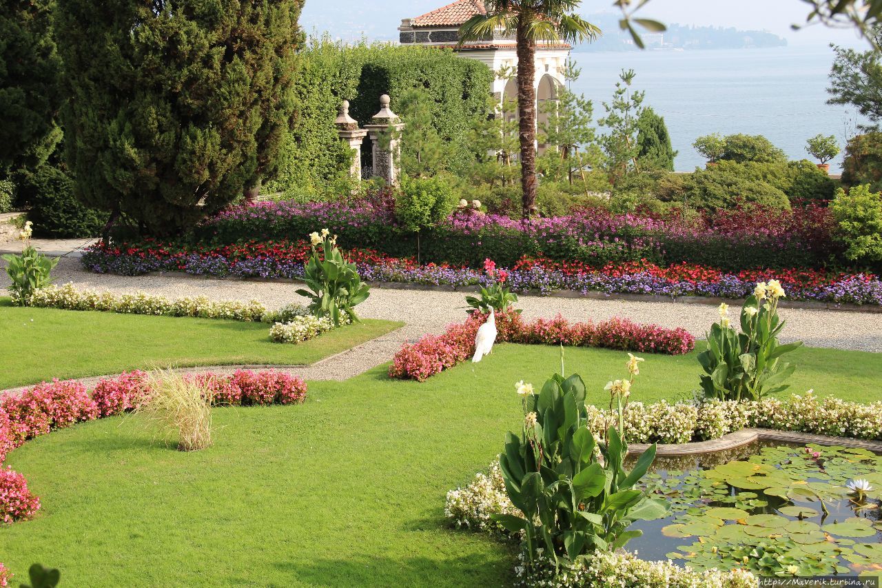 Остров Белла — прекрасные сады с белоснежными павлинами Остров Белла, Италия