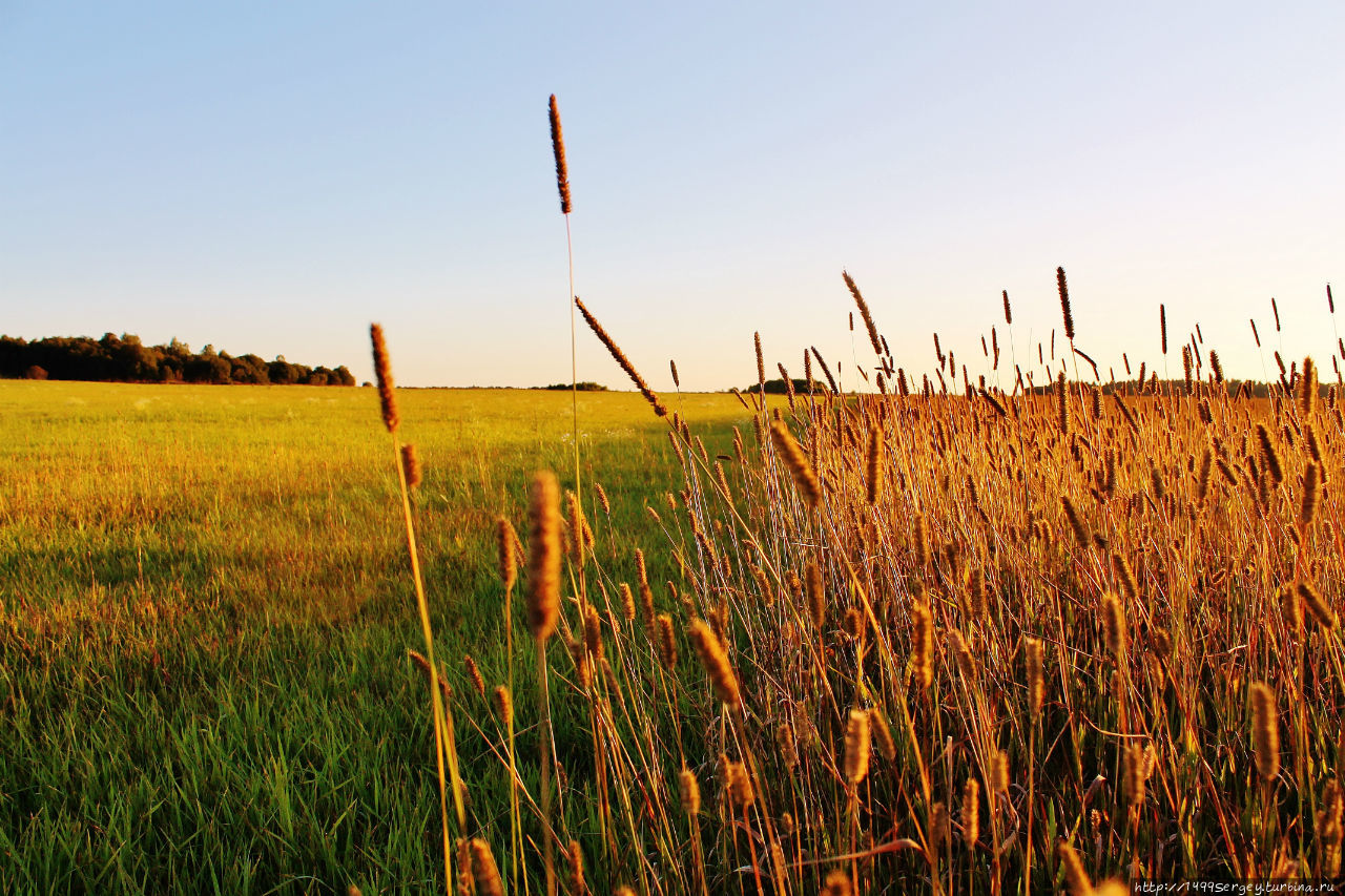Воспоминания #3 Санкт-Петербург и Ленинградская область, Россия Воспоминания #3 Санкт-Петербург и Ленинградская область, Россия