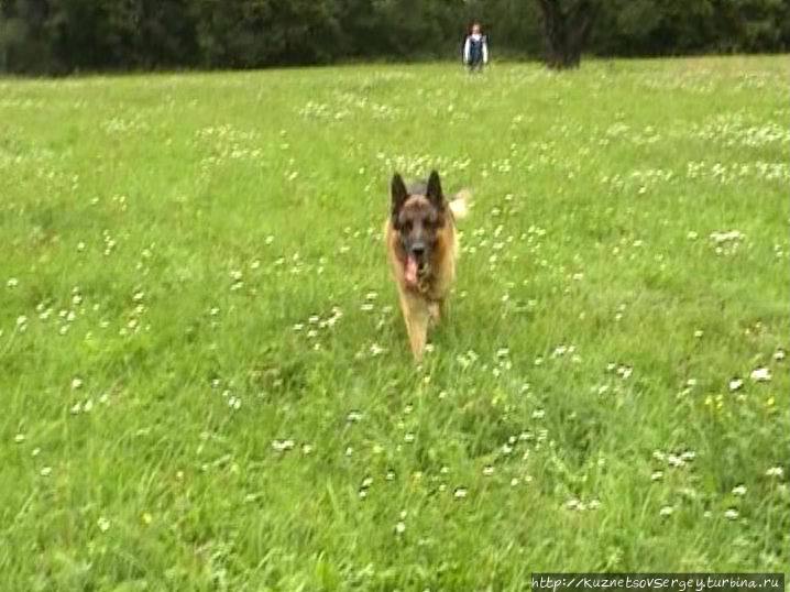 Хоэншвангау Земля Бавария, Германия Хоэншвангау Земля Бавария, Германия