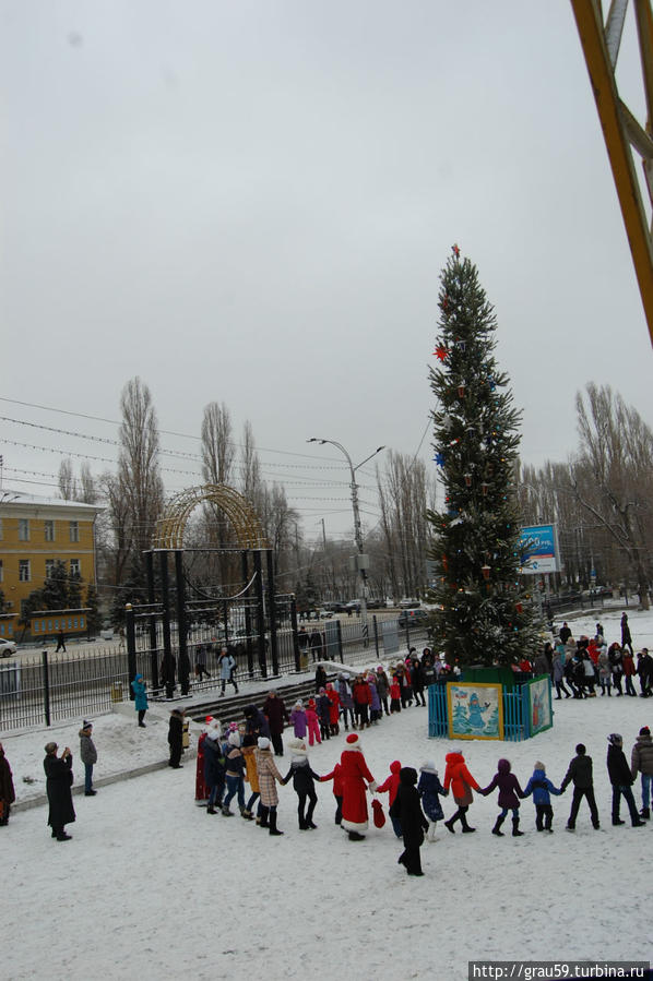 Молодые Деды-Морозы Саратов, Россия Молодые Деды-Морозы Саратов, Россия