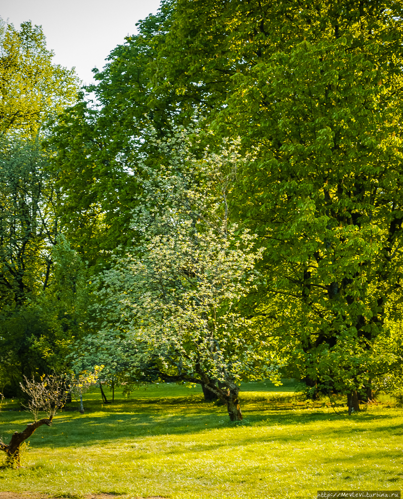 В мае в ботаническом саду Рига, Латвия