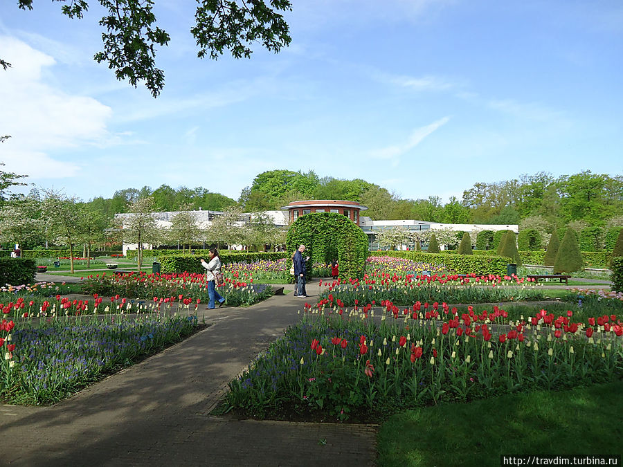 Цветочный рай для милых дам Кёкенхоф, Нидерланды Цветочный рай для милых дам Кёкенхоф, Нидерланды