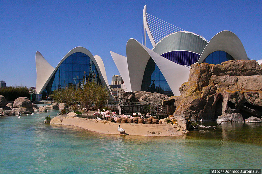 Океанографический парк Валенсии Валенсия, Испания