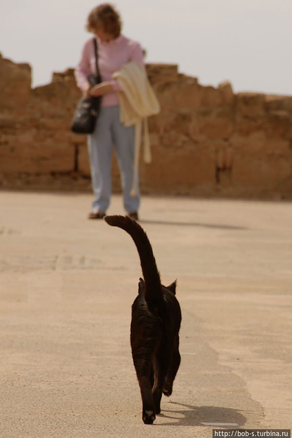 Пафос Пафос