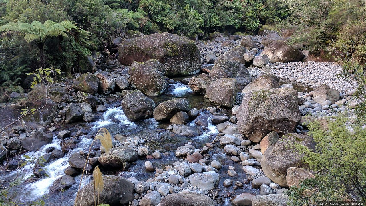 Поход. Психоделика и древние тайны  Новозеландских лесов Те-Ароха, Новая Зеландия