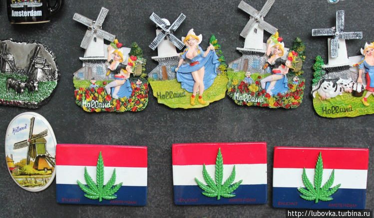 а вот Любимое растение го а вот Любимое растение го