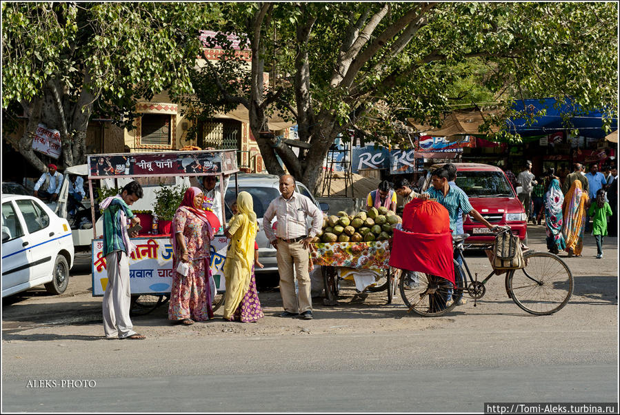 О хитрых водителях и гордых козах(Индийские Приключения ч39) Джайпур, Индия